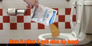 Vi Sinh Hầm Tự Hoại Là Gì