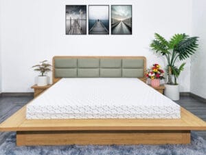 co nen mua nem online