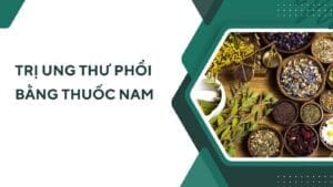gp 29 tri ung thu phoi bang thuoc nam thum