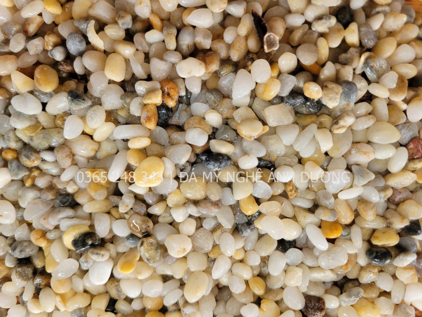 Sỏi tiểu cảnh