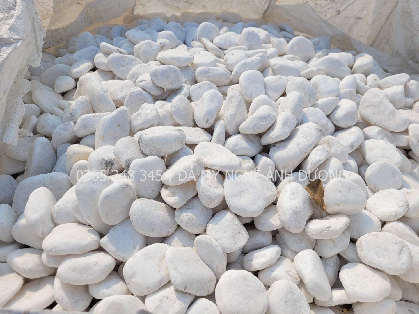 Sỏi cuội trắng